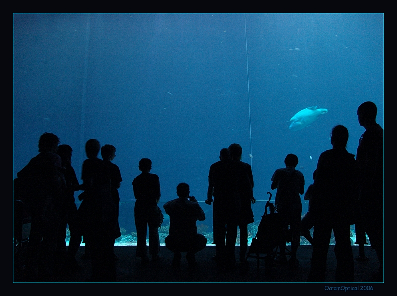 Aquarium Burgers Zoo (2).jpg